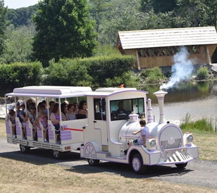 稻田觀光小火車：農業文旅觀光的產業紐帶與創新引擎